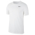 Nike Ανδρικό Κοντομάνικο T-Shirt DRI-FIT AR6029-100